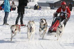 Lenk 2012 SM